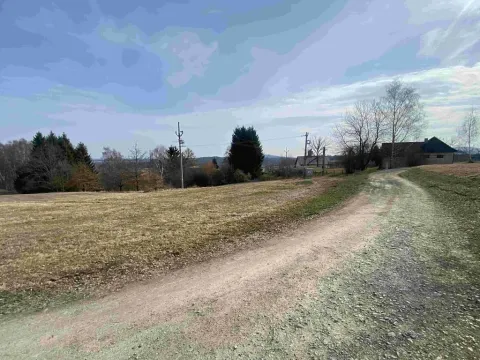Dražba pozemku pro bydlení, Nové Hrady, 2407 m2