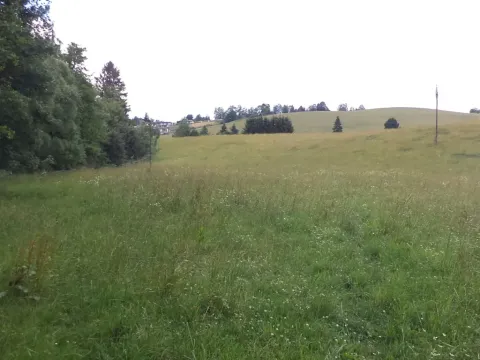 Dražba pole, Staré Buky, 10957 m2