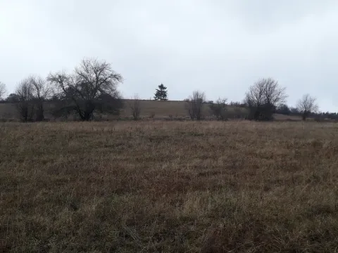 Prodej pole, Teplice nad Metují - Dolní Teplice, 25028 m2