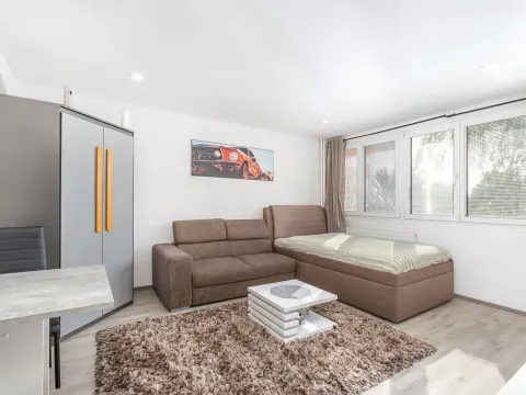 Prodej bytu 1+kk, Hradec Králové - Slezské Předměstí, Severní, 28 m2
