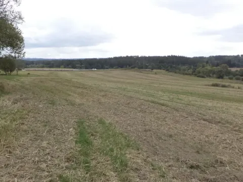 Prodej pole, Tachov, 842 m2