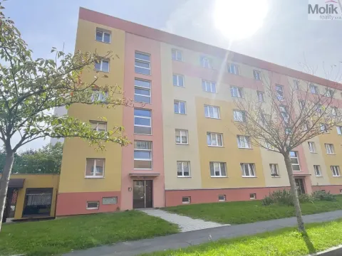 Prodej bytu 1+1, Most, Vítězslava Nezvala, 36 m2