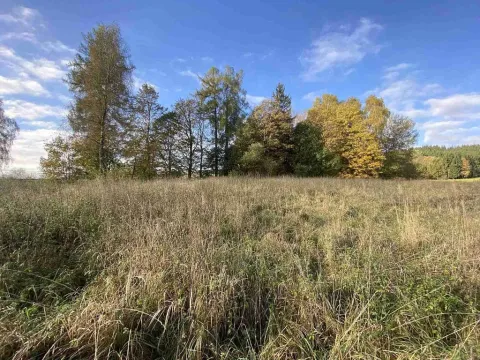 Prodej pozemku, Králíky - Horní Lipka, 3207 m2