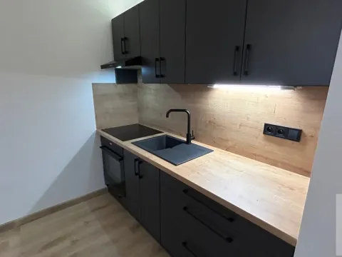 Pronájem bytu 1+1, Ústí nad Labem - Severní Terasa, Kmochova, 33 m2