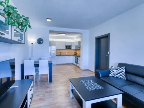 Pronájem bytu 2+kk, Plzeň, U Borských kasáren, 52 m2