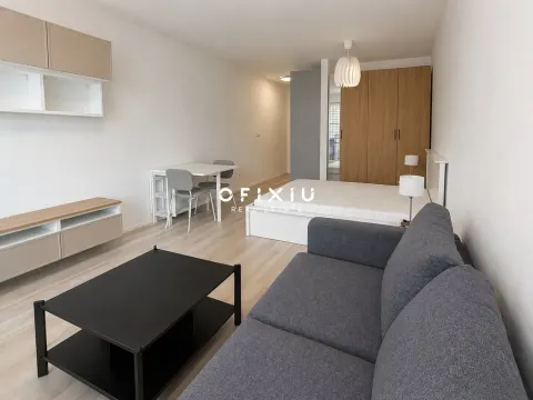 Pronájem bytu 1+kk, Brno, Dornych, 29 m2