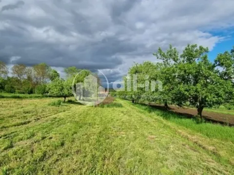 Prodej sadu/vinice, Tištín, 1062 m2