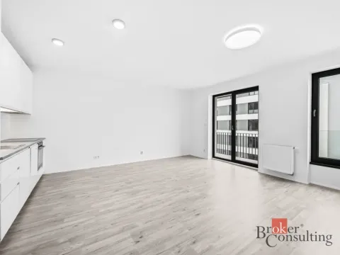 Prodej bytu 1+kk, Plzeň - Jižní Předměstí, Železná, 46 m2
