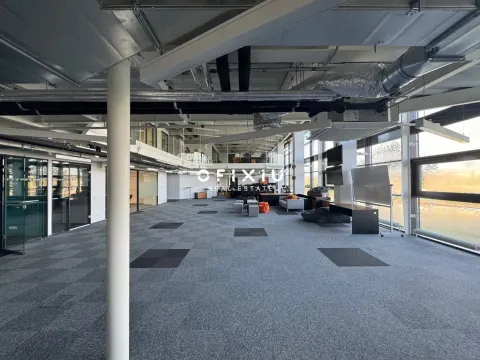 Pronájem kanceláře, Brno, Lazaretní, 300 m2