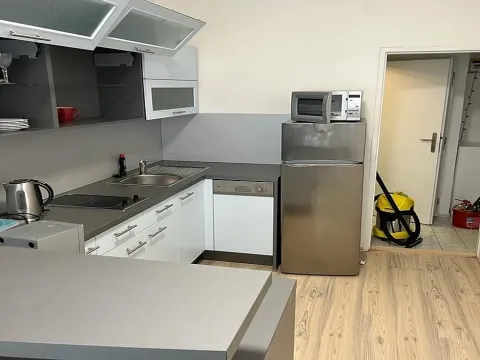 Pronájem bytu 1+1, Praha - Karlín, Thámova, 46 m2