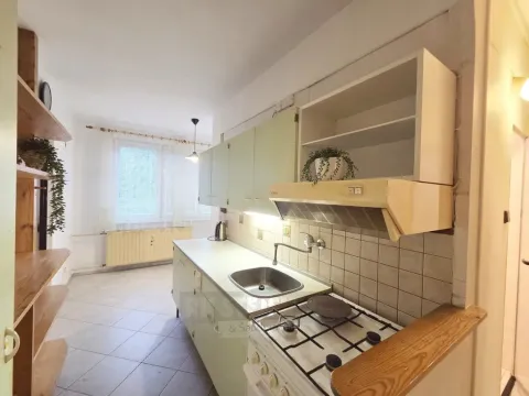 Pronájem bytu 1+1, Český Krumlov - Plešivec, 42 m2