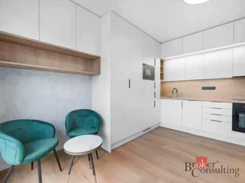 Pronájem bytu 1+kk, Brno - Zábrdovice, Bratislavská, 24 m2