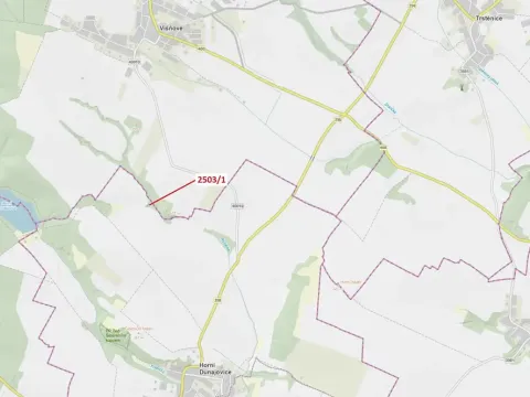 Dražba lesa, Horní Dunajovice, 164 m2