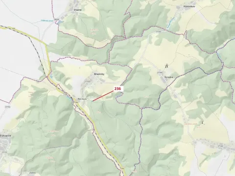 Dražba lesa, Březinky, 813 m2