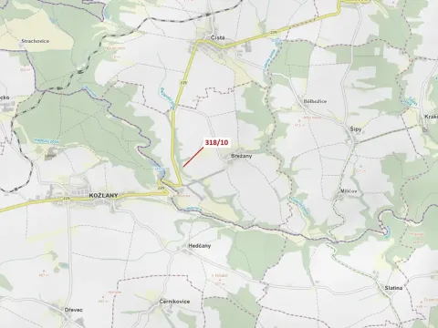 Dražba lesa, Břežany, 21 m2