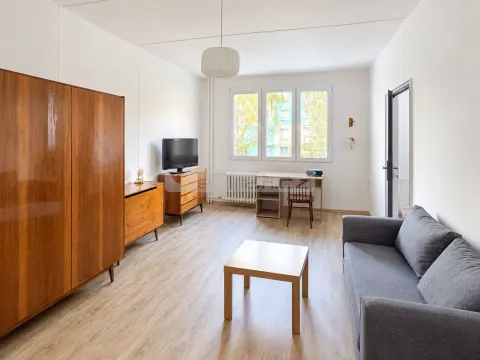 Pronájem pokoje, Plzeň - Lobzy, Pod Vrchem, 22 m2