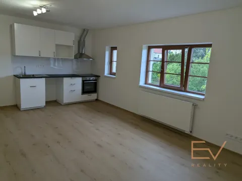 Pronájem bytu 3+kk, Praha - Žižkov, Jeseniova, 110 m2
