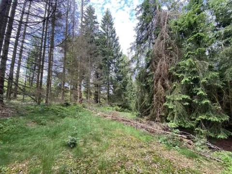 Prodej pozemku, Železná Ruda, 3072 m2