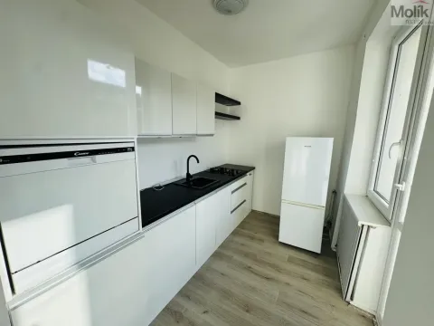 Pronájem bytu 1+1, Litvínov - Horní Litvínov, Ruská, 30 m2