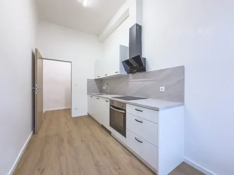 Pronájem bytu 3+1, České Budějovice, Fráni Šrámka, 73 m2