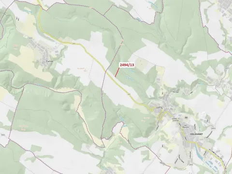 Dražba lesa, Oslavany, 113 m2