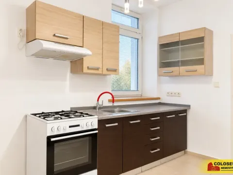 Prodej bytu 2+1, Hrušovany nad Jevišovkou, 49 m2