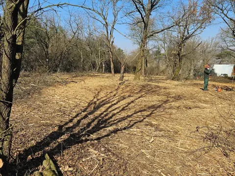 Prodej sadu/vinice, Zadní Třebaň, 5128 m2