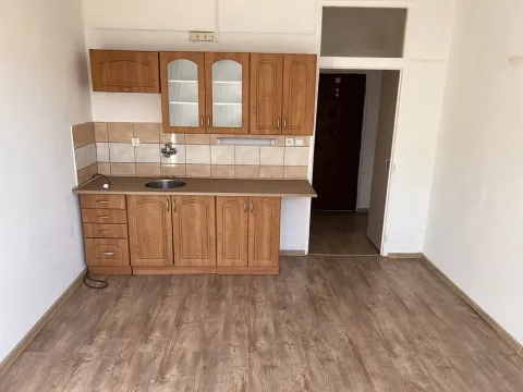 Pronájem bytu 1+kk, Chodov, Jiráskova, 21 m2