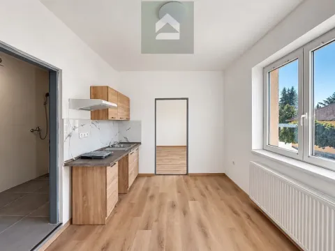Pronájem bytu 1+1, Plzeň - Křimice, Prvomájová, 33 m2