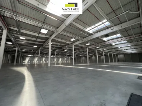 Pronájem výrobních prostor, Ostrava - Vítkovice, Halasova, 5195 m2