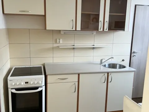 Pronájem bytu 3+1, Plzeň - Východní Předměstí, U Prazdroje, 69 m2