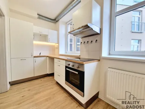 Pronájem bytu 1+kk, Brno, Mathonova, 20 m2