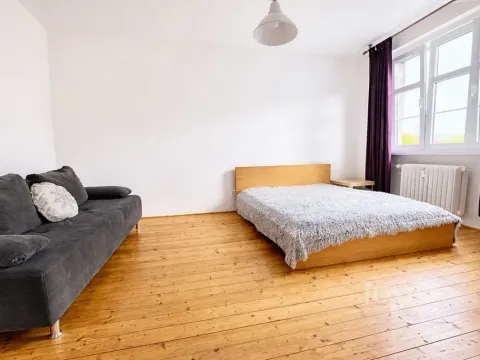 Prodej bytu 1+1, Ústí nad Labem, Palachova, 47 m2