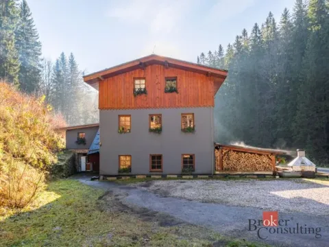 Prodej rodinného domu, Strážné, 650 m2