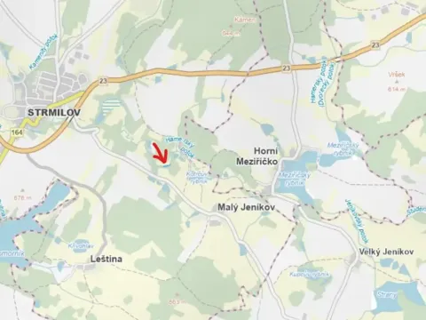 Prodej lesa, Strmilov, 881 m2