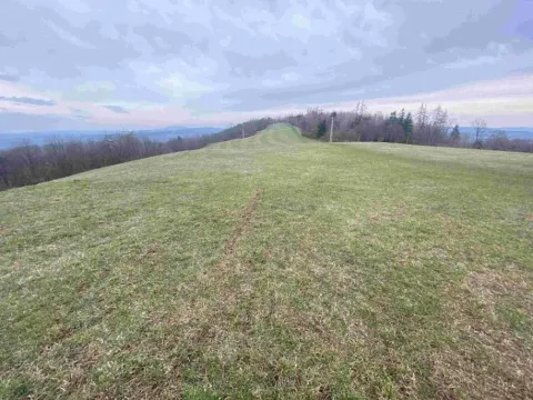 Dražba louky, Mírová pod Kozákovem, 14714 m2