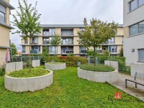 Pronájem bytu 2+kk, Praha - Žižkov, Olgy Havlové, 48 m2