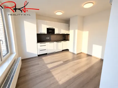 Pronájem bytu 1+kk, Praha, Thomasova, 25 m2