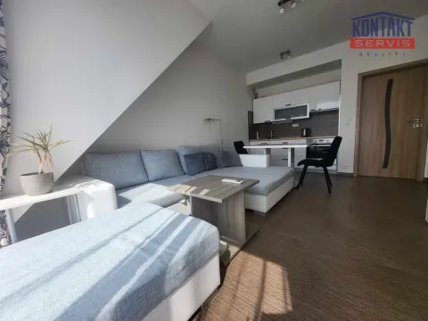 Pronájem bytu 2+kk, České Budějovice, B. Smetany, 49 m2