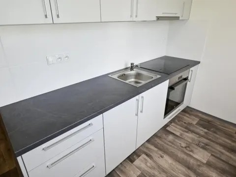 Prodej bytu 2+1, Ostrava, Jižní, 55 m2