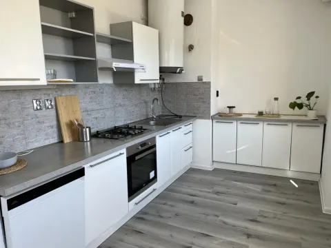 Prodej bytu 2+1, Litvínov - Horní Litvínov, Vinohradská, 55 m2