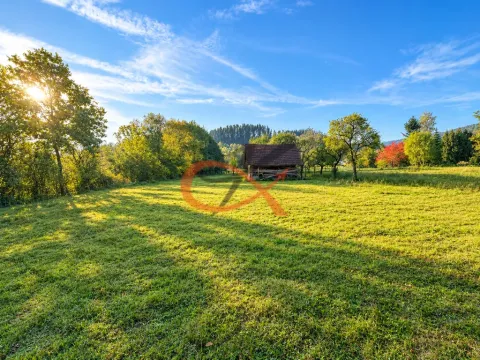 Prodej zahrady, Střítež nad Bečvou, 4190 m2