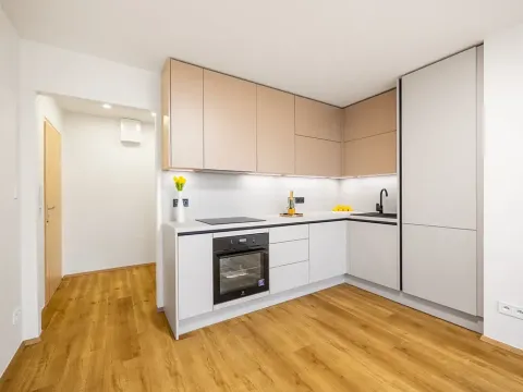 Prodej bytu 2+kk, Praha - Chodov, Petýrkova, 55 m2