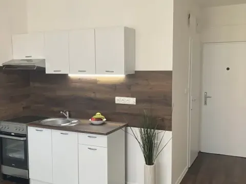 Prodej bytu 1+1, Chomutov, 17. listopadu, 36 m2