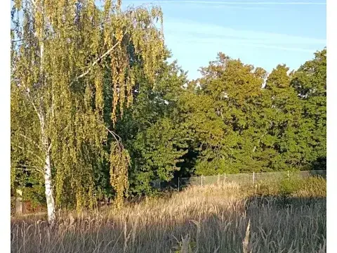 Prodej pozemku pro bydlení, Černošice, 1014 m2