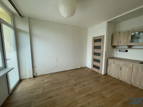 Pronájem bytu 1+kk, Litvínov - Horní Litvínov, Mostecká, 24 m2