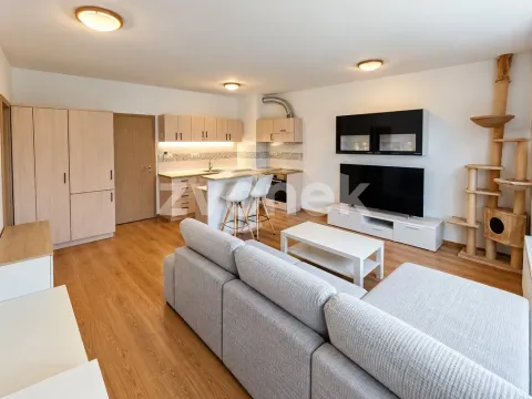 Pronájem bytu 2+kk, Zlín - Příluky, Dřevnická, 57 m2