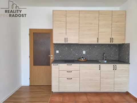 Prodej bytu 1+kk, Brno, Božetěchova, 29 m2