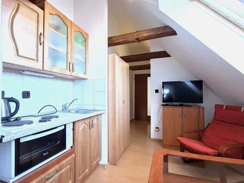 Pronájem bytu 1+kk, Benešov - Bedrč, 24 m2