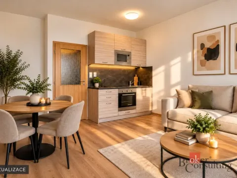 Prodej bytu 1+kk, Brno - Zábrdovice, Vlhká, 33 m2